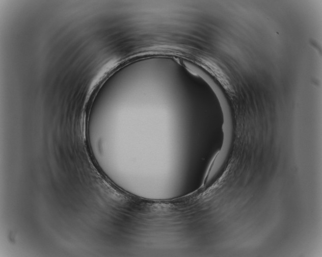 X0000091221180200708301445