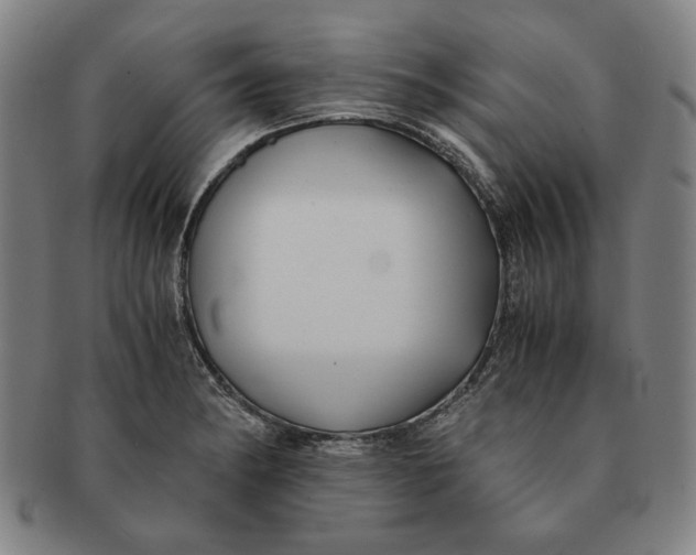 X0000091221182200708301445