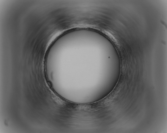 X0000091221183200708301445