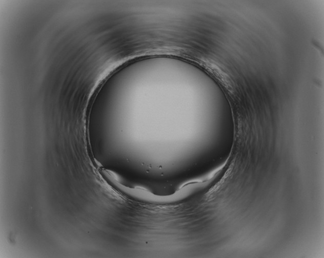 X0000091221184200708301445