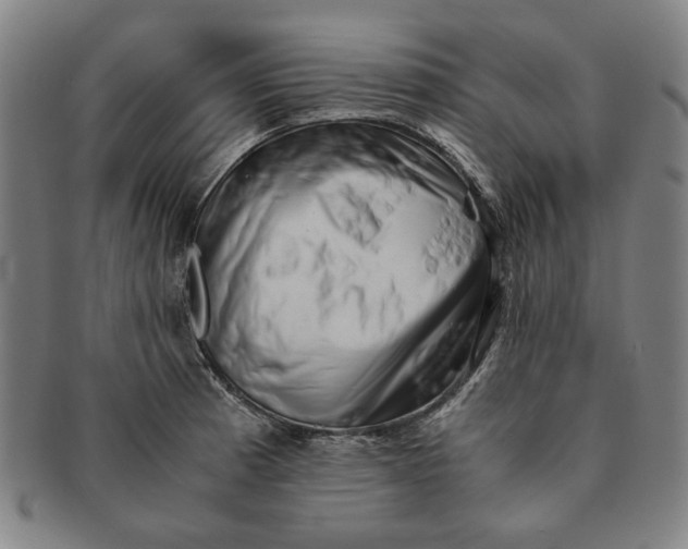 X0000091221185200708301445