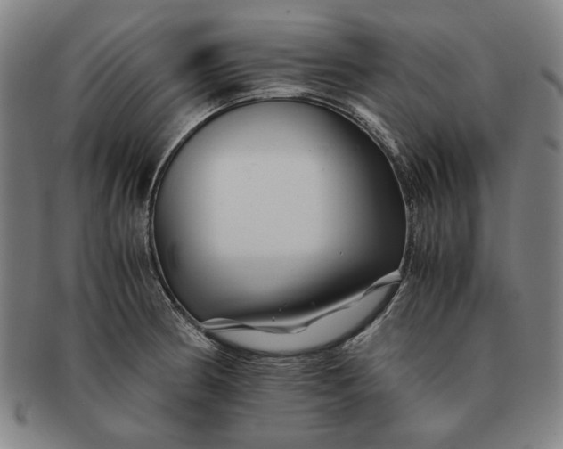 X0000091221186200708301445