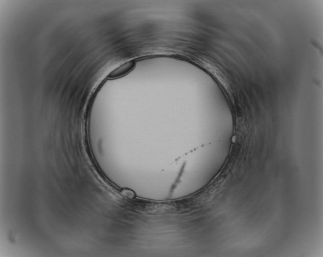 X0000091221187200708301444