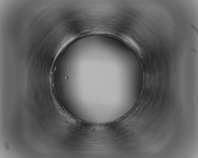 X0000091221190200708301444