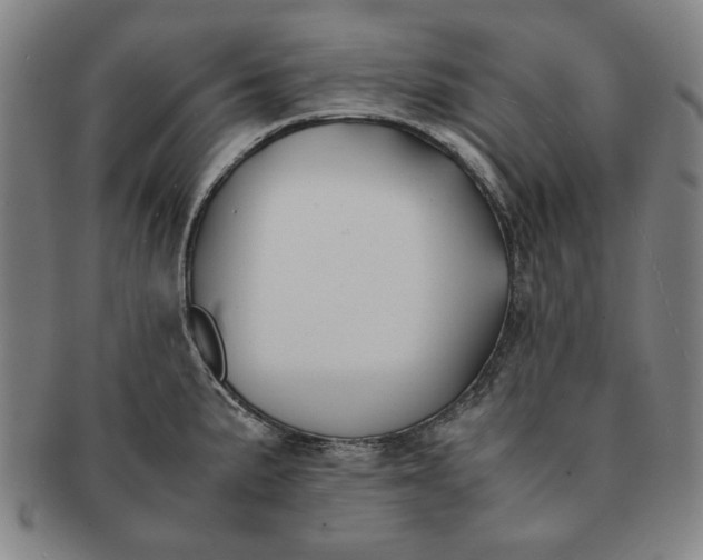 X0000091221191200708301444