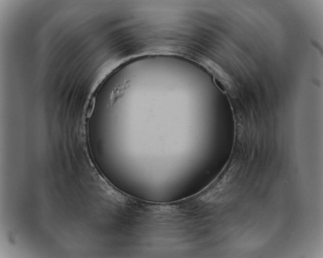 X0000091221192200708301444