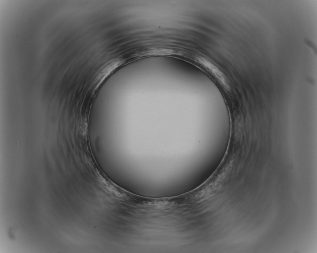 X0000091221193200708301444