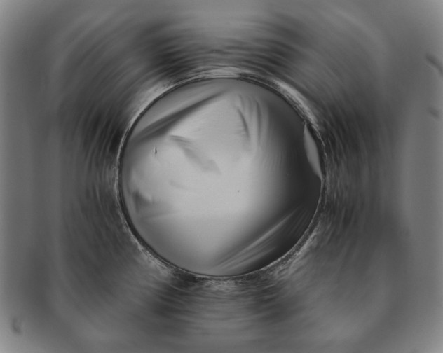 X0000091221194200708301444