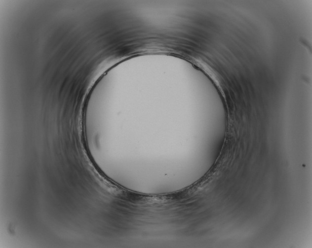 X0000091221195200708301444