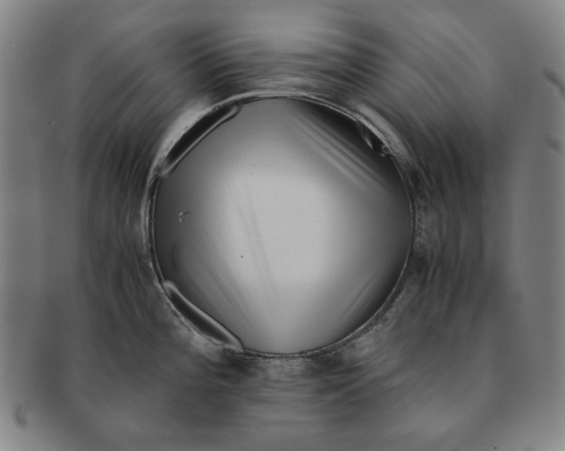 X0000091221196200708301444