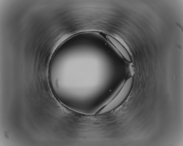 X0000091221197200708301444