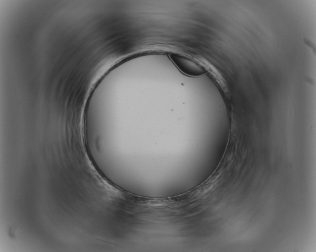 X0000091221199200708301444