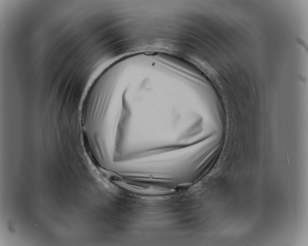 X0000091221200200708301444