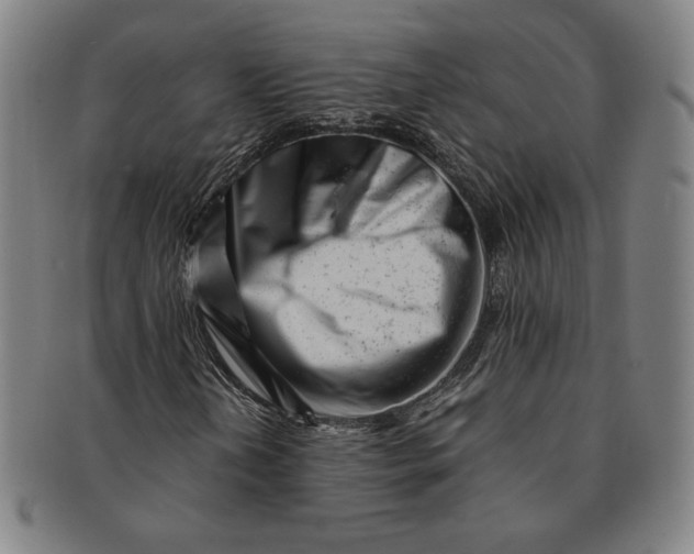 X0000091221202200708301444