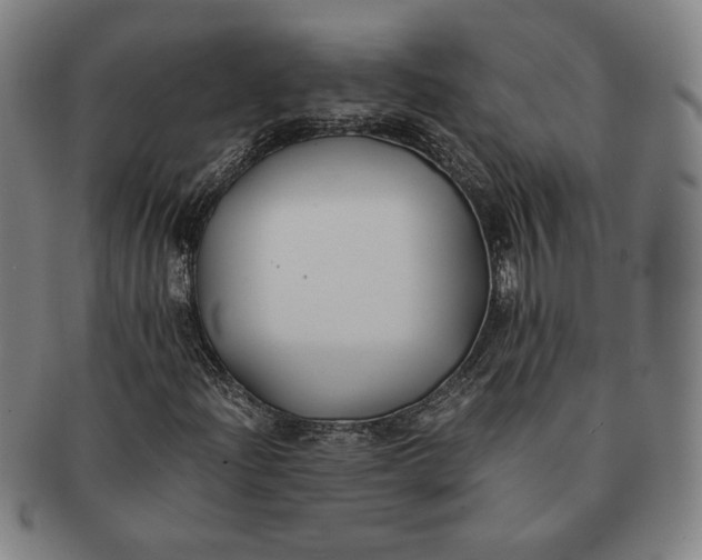 X0000091221204200708301444