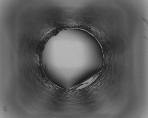 X0000091221205200708301444