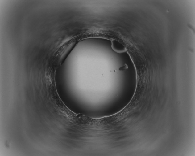 X0000091221206200708301444