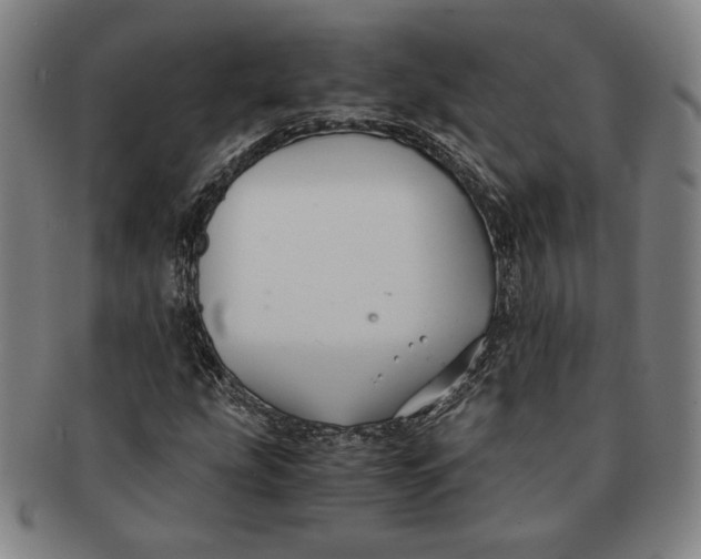 X0000091221207200708301444