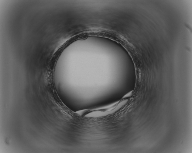 X0000091221208200708301444