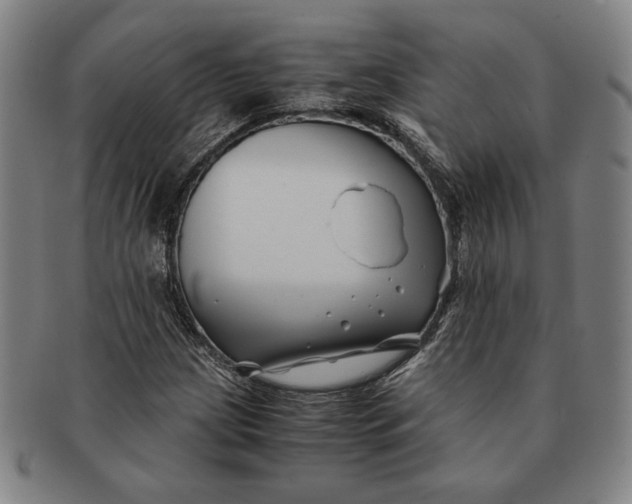 X0000091221209200708301444