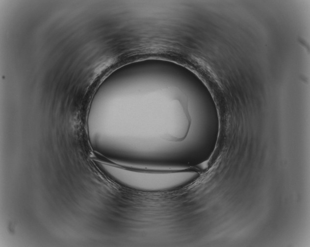 X0000091221210200708301444