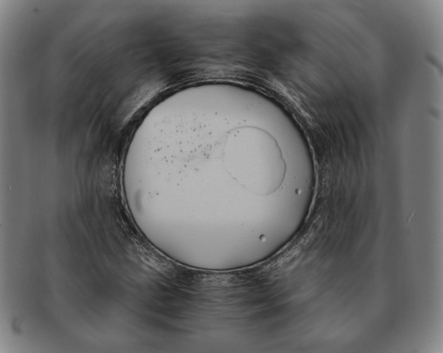 X0000091221211200708301444