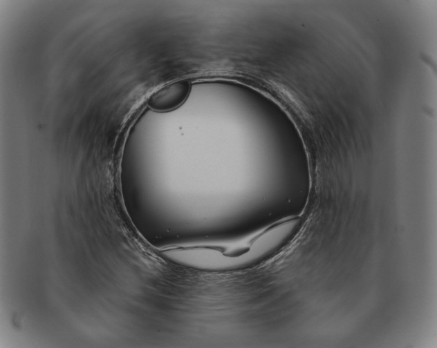 X0000091221212200708301444