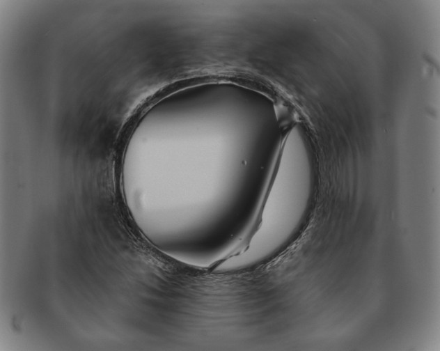 X0000091221214200708301444