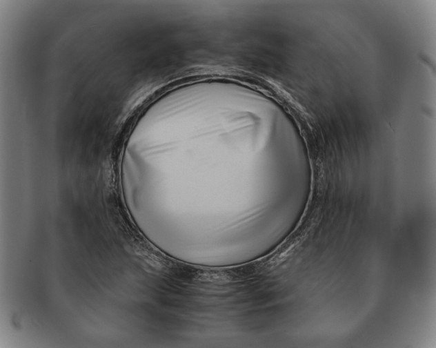 X0000091221215200708301444