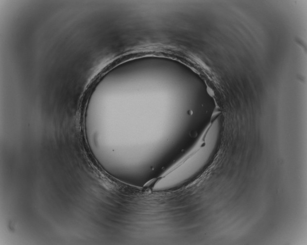 X0000091221216200708301444