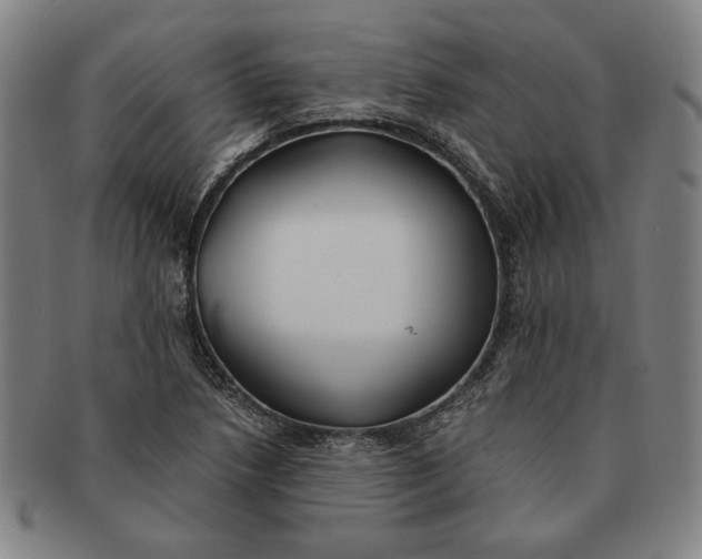 X0000091221218200708301444