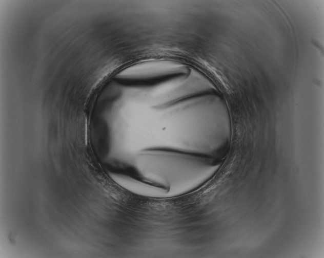 X0000091221219200708301444