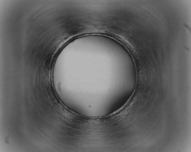 X0000091221220200708301444