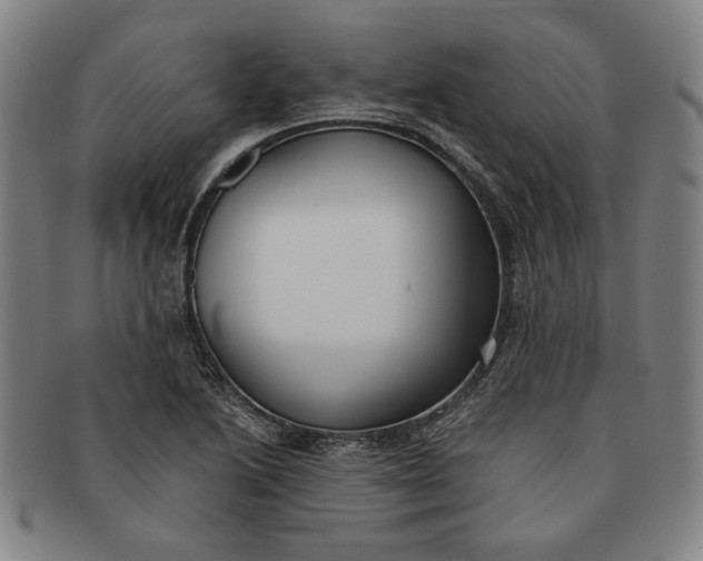 X0000091221222200708301444