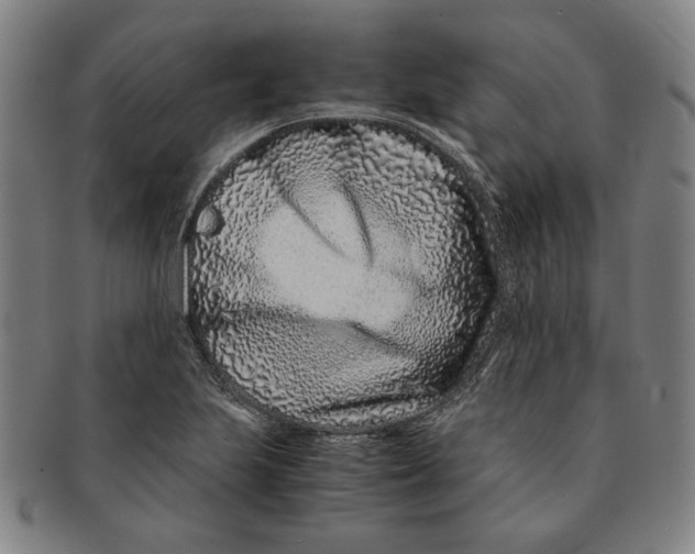 X0000091221223200708301444