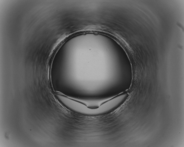 X0000091221224200708301444