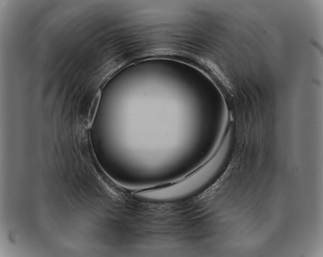 X0000091221225200708301444