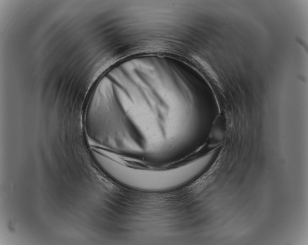 X0000091221226200708301444