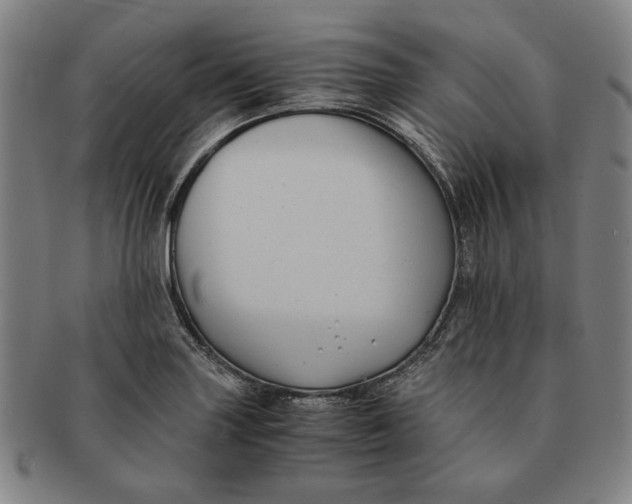 X0000091221227200708301444