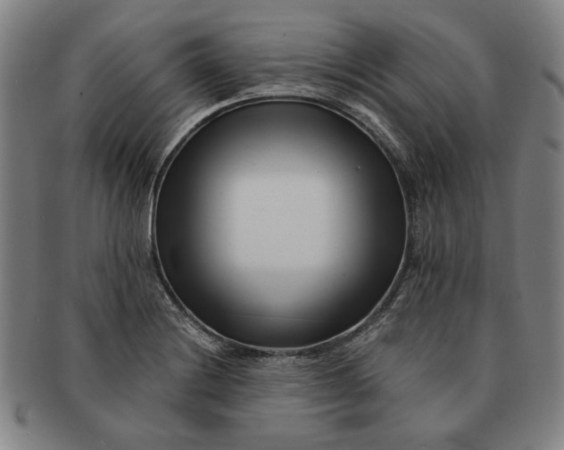 X0000091221228200708301444