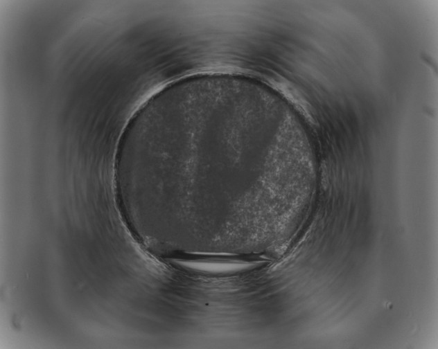 X0000091221229200708301444