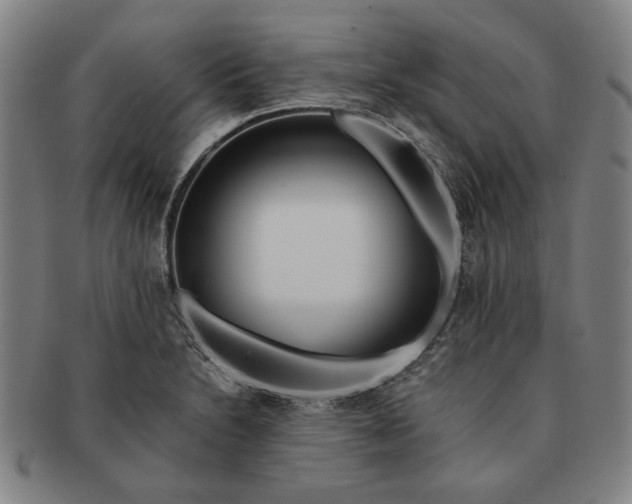 X0000091221230200708301444