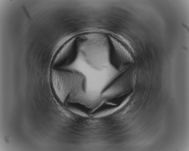 X0000091221231200708301444