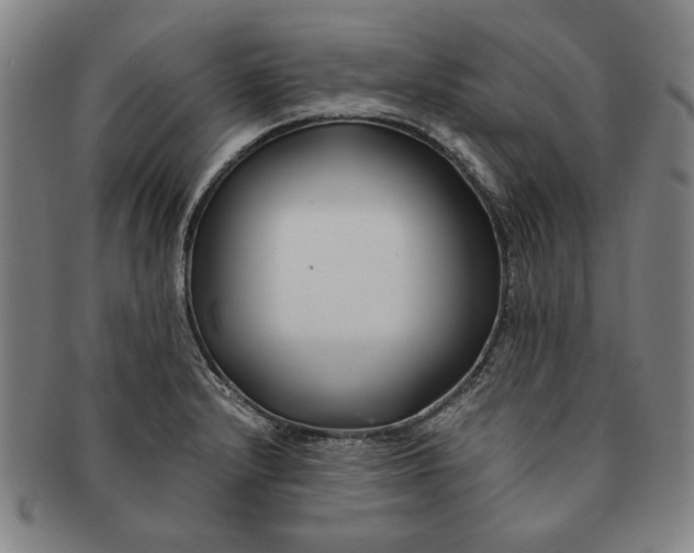 X0000091221232200708301444