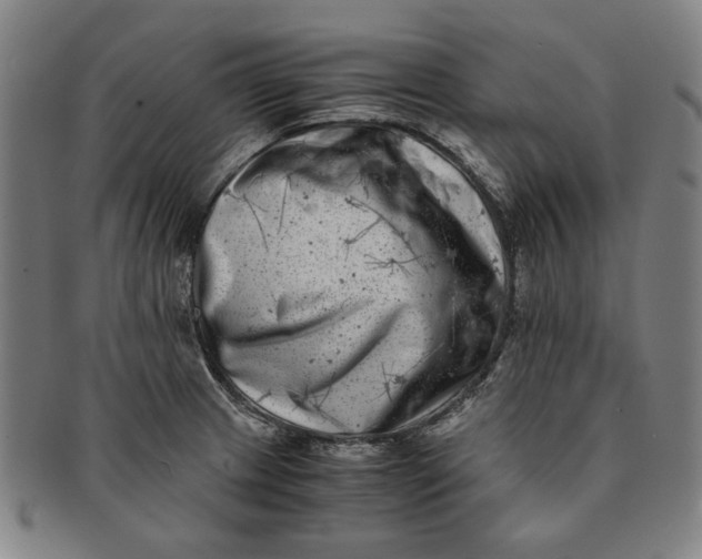 X0000091221233200708301444