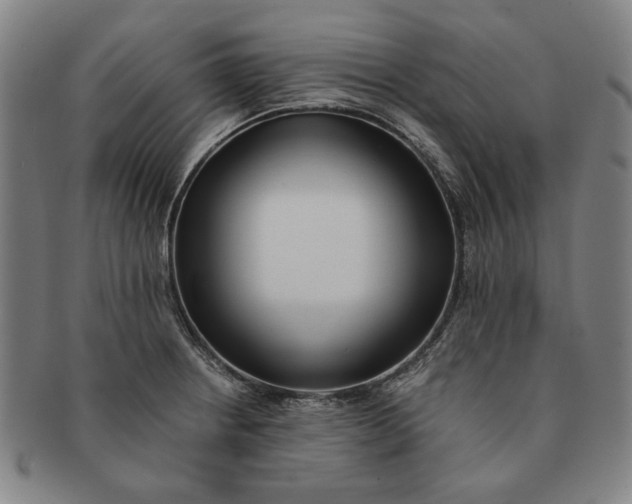 X0000091221234200708301444