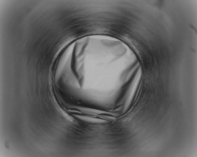 X0000091221235200708301444