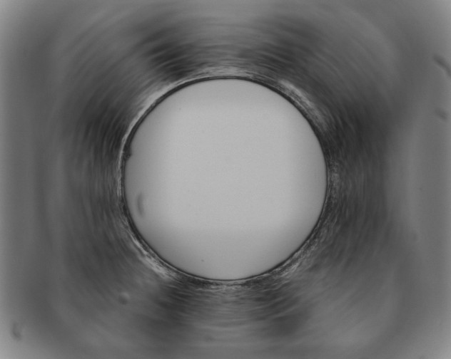 X0000091221236200708301444