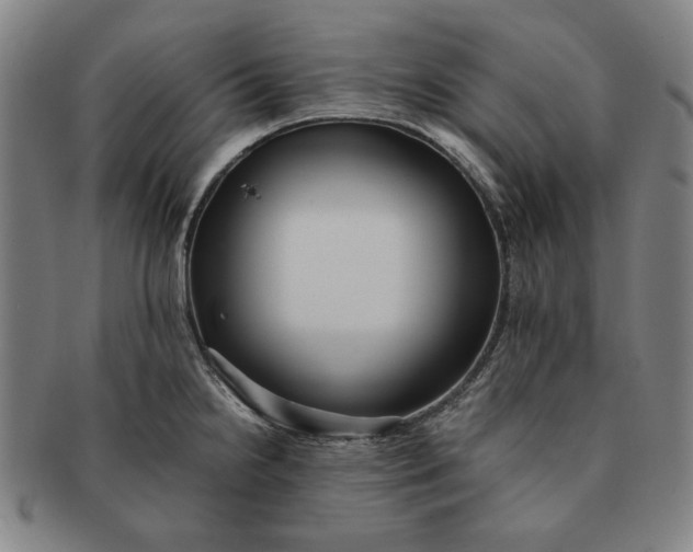 X0000091221238200708301444