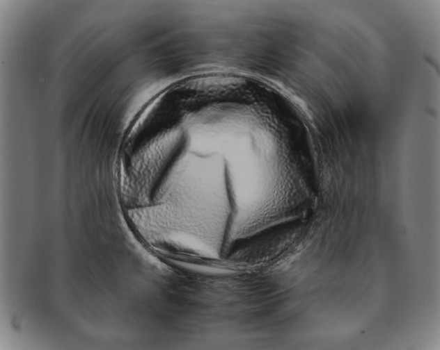 X0000091221239200708301444